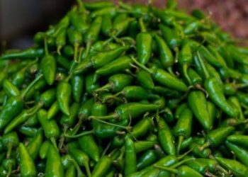 Harga cabai dan telur ayam di Kabupaten Karimun, Kepulauan Riau naik di akhir tahun 2024, ini Sebabnya